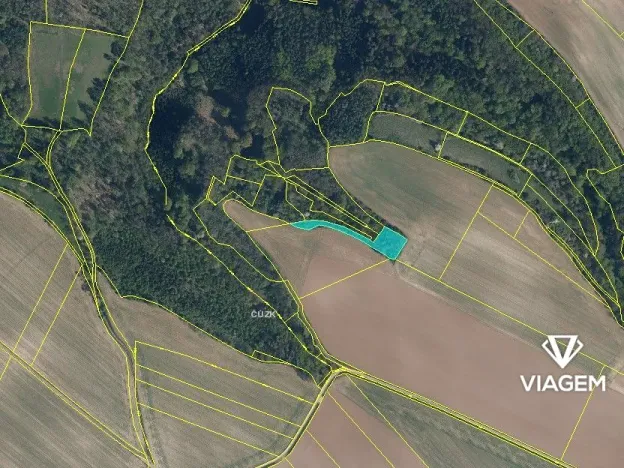 Prodej podílu lesa, Kokořín, 1843 m2