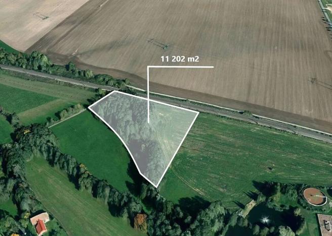 Prodej podílu pole, Žichlínek, 1692 m2