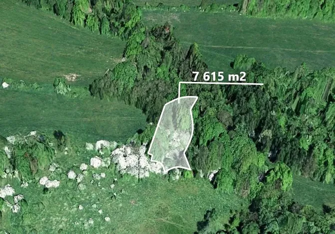 Prodej podílu lesa, Heřmanov, 2538 m2