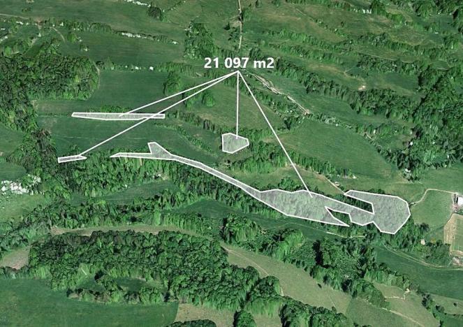 Prodej podílu lesa, Heřmanov, 7032 m2