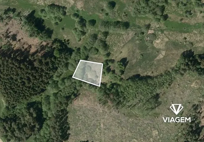 Prodej pole, Pavlov, 1271 m2