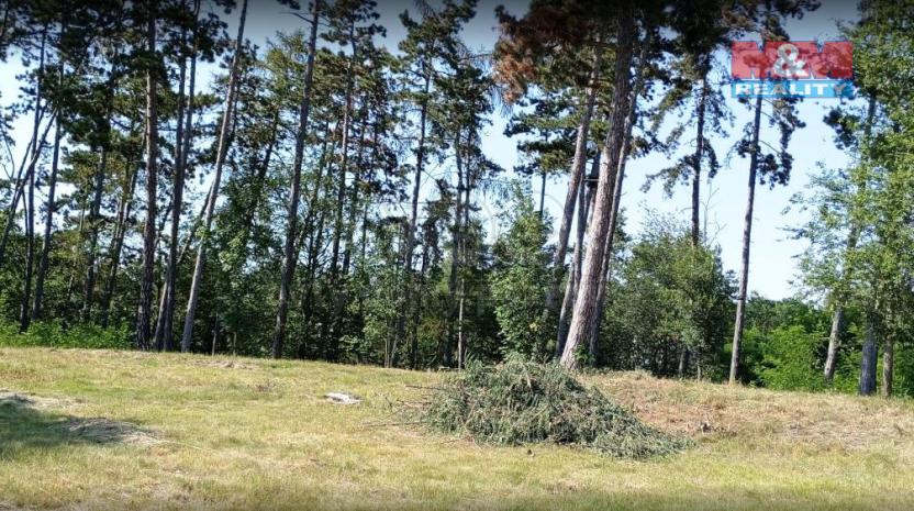 Prodej lesa, Unhošť, 3111 m2