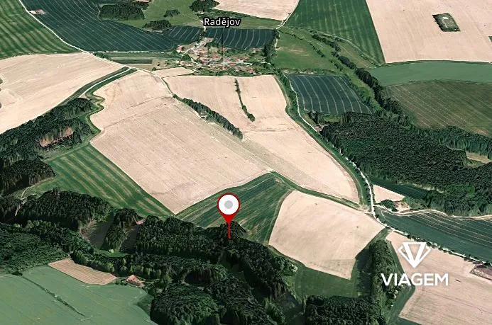 Prodej lesa, Buřenice, 5731 m2