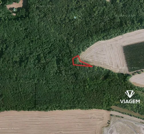 Prodej podílu lesa, Libochovice, 525 m2