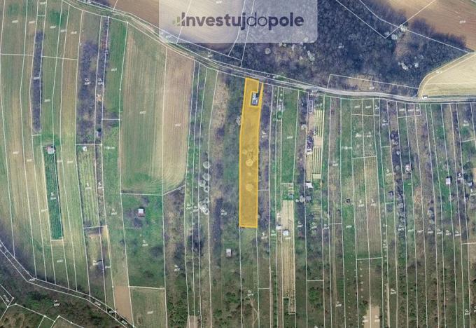 Prodej louky, Klobouky u Brna, 1680 m2