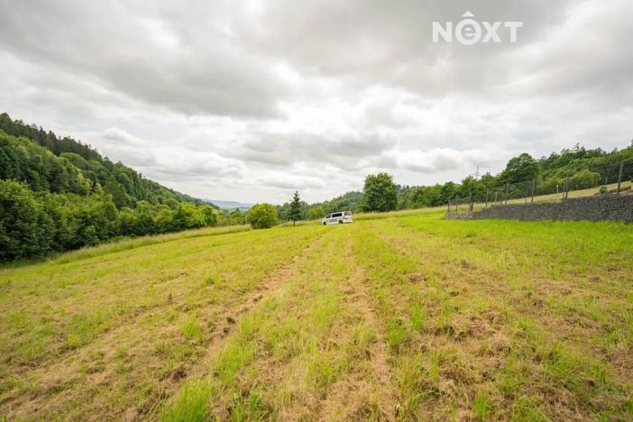 Prodej pozemku pro bydlení, Bratrušov, 2853 m2