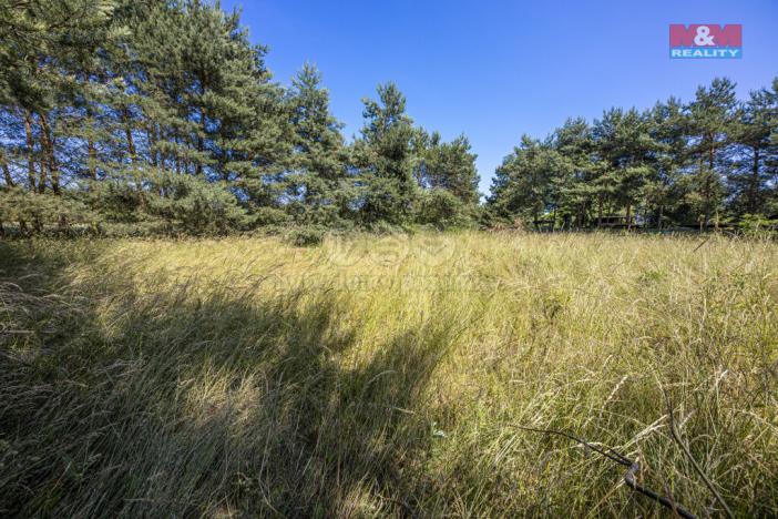 Prodej pole, Svatý Mikuláš - Lišice, 1959 m2
