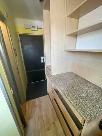 Pronájem bytu 1+kk, Ostrava - Mariánské Hory, Závišova, 16 m2