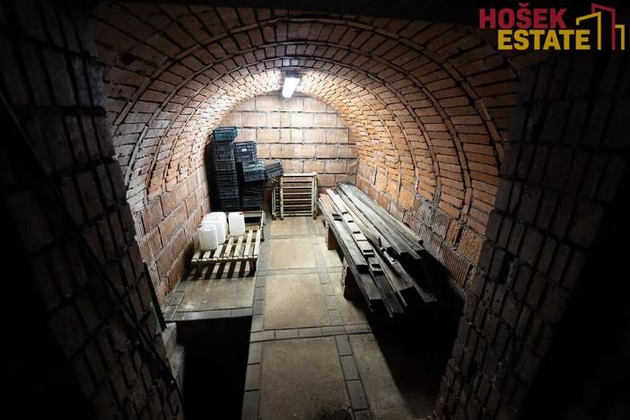 Prodej vícegeneračního domu, Přerov, Popovická, 320 m2