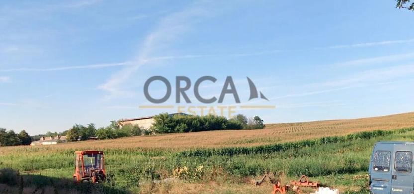 Prodej pole, Tupesy, 2120 m2