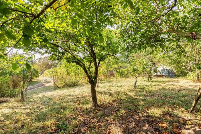 Prodej pozemku pro bydlení, Přibice, 1640 m2