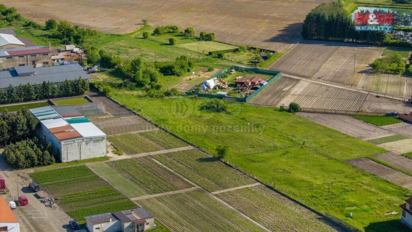 Prodej pozemku pro bydlení, Dřísy, 991 m2