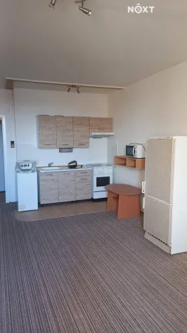 Pronájem bytu 1+kk, Ostrava, Závoří, 32 m2