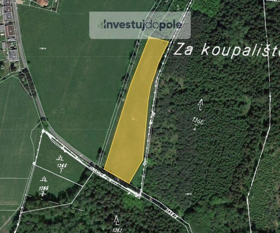 Prodej louky, Meziměstí - Březová, 6281 m2