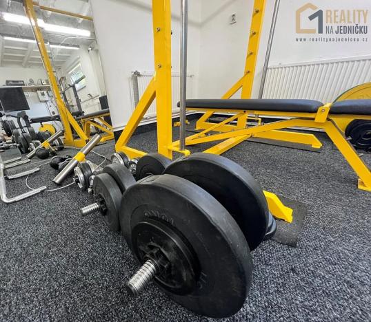 Pronájem - jiné, Ústí nad Orlicí, Pivovarská, 40 m2