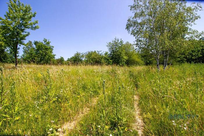 Prodej zahrady, Praha - Dolní Chabry, 10599 m2