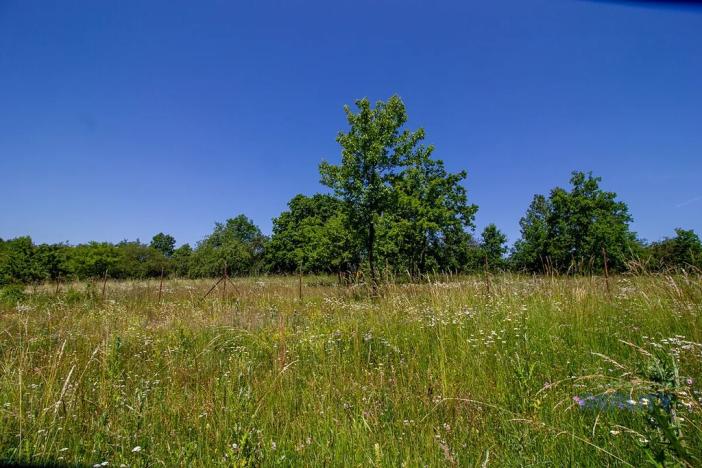 Prodej zahrady, Praha - Dolní Chabry, 10599 m2