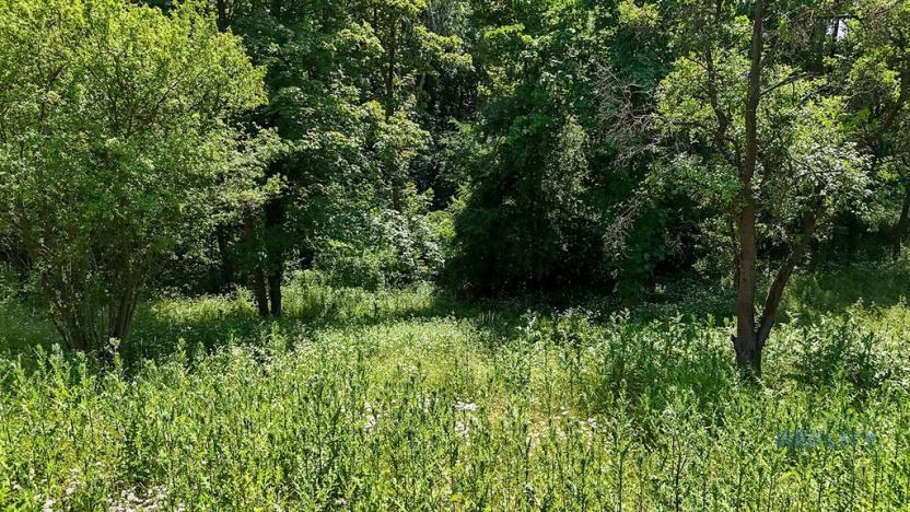 Prodej zahrady, Praha - Dolní Chabry, 10599 m2