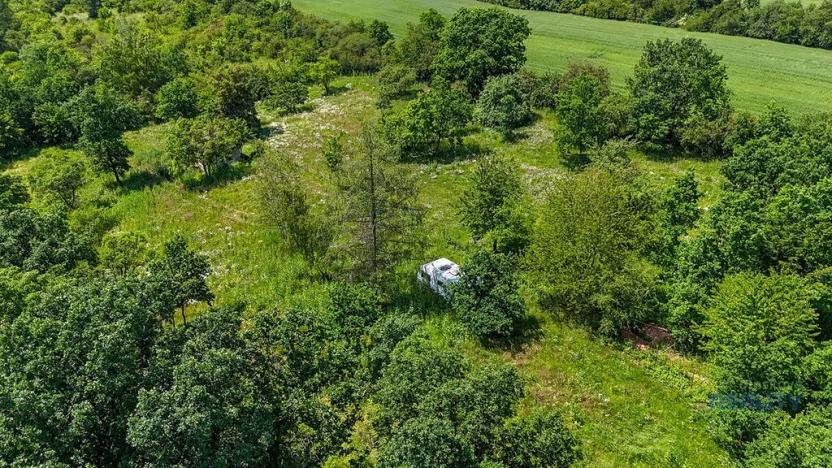 Prodej zahrady, Praha - Dolní Chabry, 10599 m2