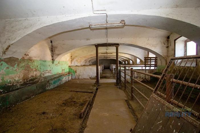 Prodej pozemku pro bydlení, Kojetice, Moravcova, 2906 m2