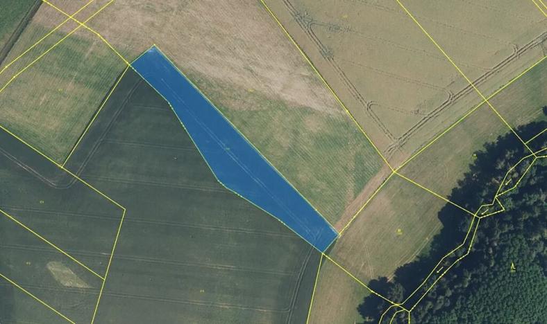 Prodej louky, Zdobín, 145881 m2