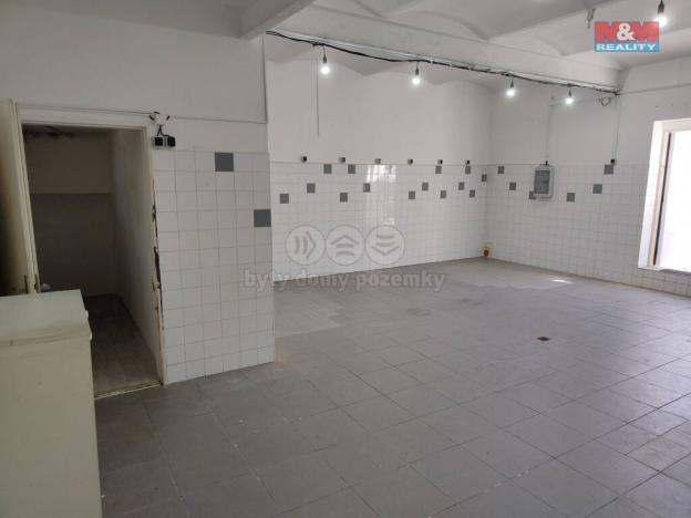 Pronájem skladu, Ostrava - Radvanice, Těšínská, 57 m2