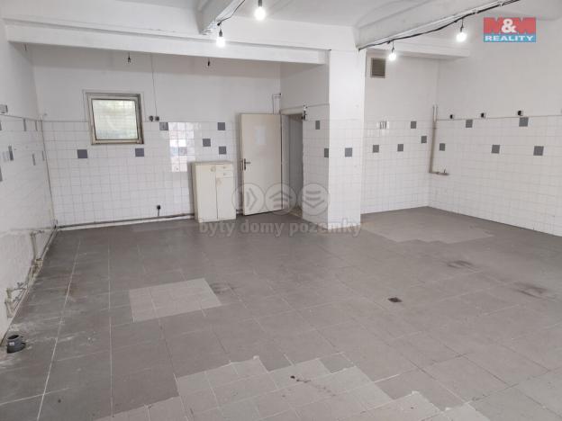 Pronájem skladu, Ostrava - Radvanice, Těšínská, 57 m2