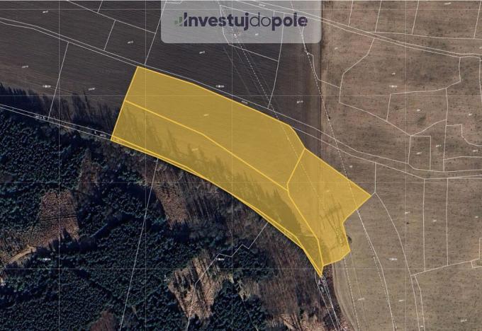 Prodej pole, Blovice, 8545 m2