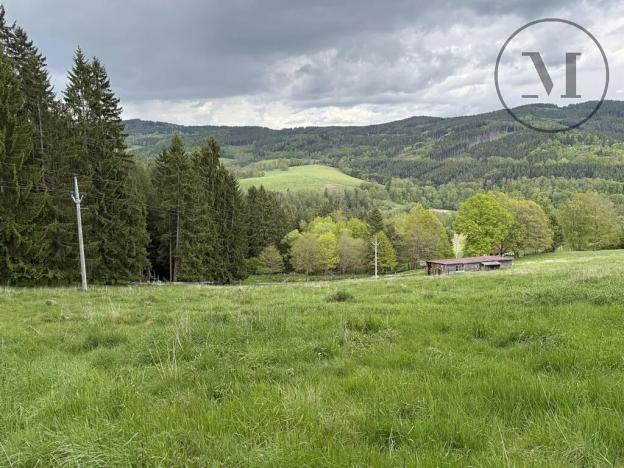 Prodej pozemku pro bydlení, Rožmberk nad Vltavou, 41251 m2