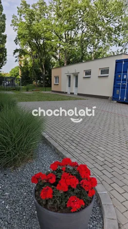 Prodej kanceláře, Pardubice, Školská, 157 m2