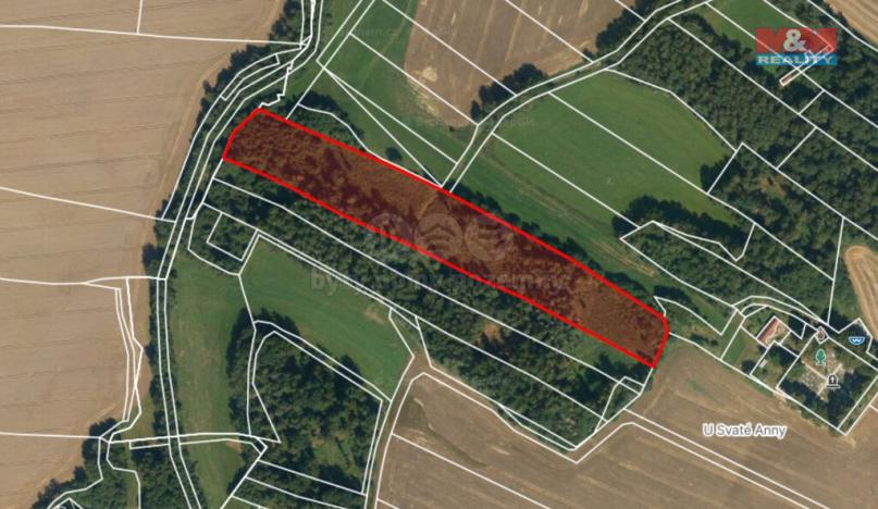 Prodej lesa, Božejov, 17153 m2