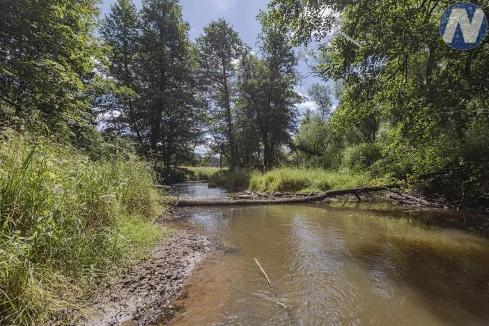 Prodej rybníku, Planá, 1939 m2