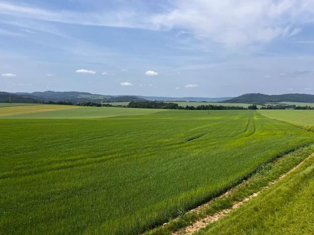 Prodej zemědělské usedlosti, Gruna, 851 m2