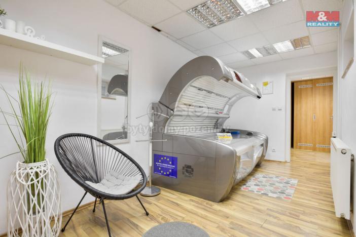 Prodej rodinného domu, Roudnice nad Labem, Rvačov, 300 m2