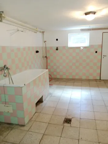 Prodej rodinného domu, Hrušovany nad Jevišovkou, 300 m2