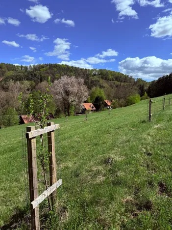 Prodej chalupy, Bílá, 100 m2