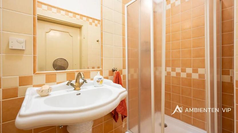 Prodej bytu 5+kk, Brno, 257 m2