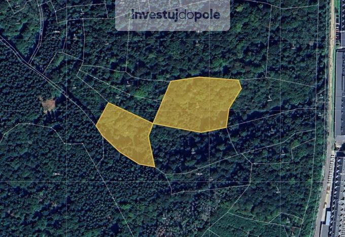 Prodej lesa, Vsetín, 11175 m2