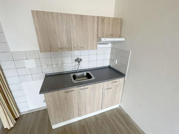Pronájem bytu 1+kk, Praha - Nusle, U čtyř domů, 21 m2