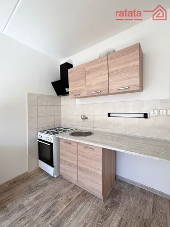 Pronájem bytu 1+1, Jirkov, Vinařická, 38 m2