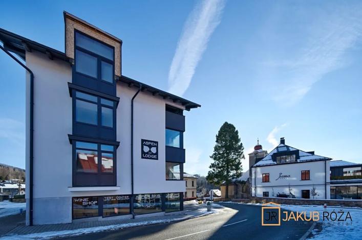 Prodej bytu 1+kk, Černý Důl, 28 m2