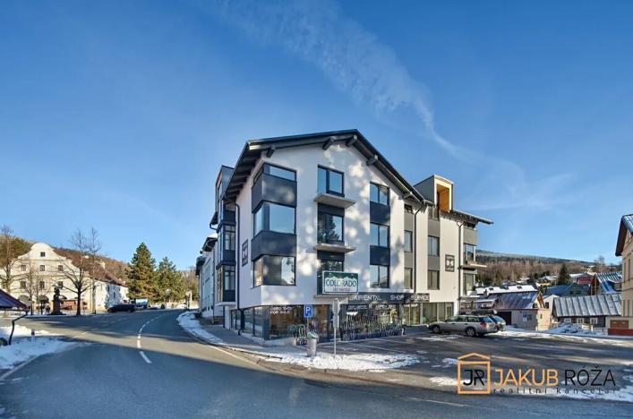 Prodej bytu 1+kk, Černý Důl, 28 m2