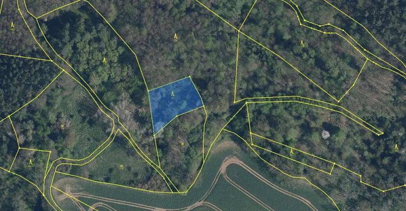 Prodej lesa, Mělnické Vtelno, 1410 m2