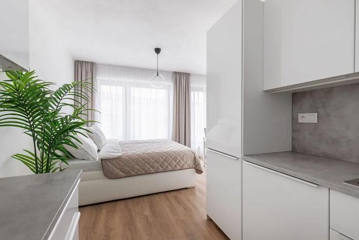Pronájem bytu 1+kk, Brno, Lidická, 37 m2