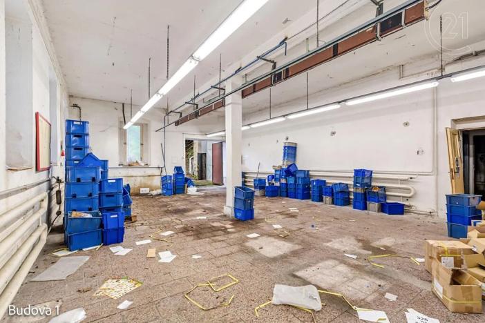 Pronájem komerční nemovitosti, Děčín, Rudolfova, 5199 m2