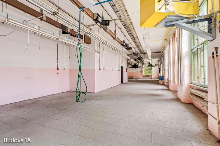 Pronájem komerční nemovitosti, Děčín, Rudolfova, 5199 m2