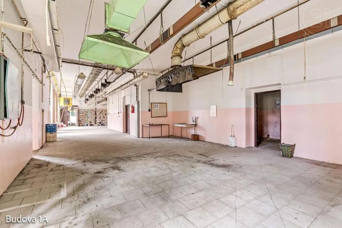 Pronájem komerční nemovitosti, Děčín, Rudolfova, 5199 m2