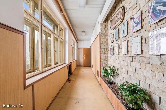 Pronájem komerční nemovitosti, Děčín, Rudolfova, 5199 m2