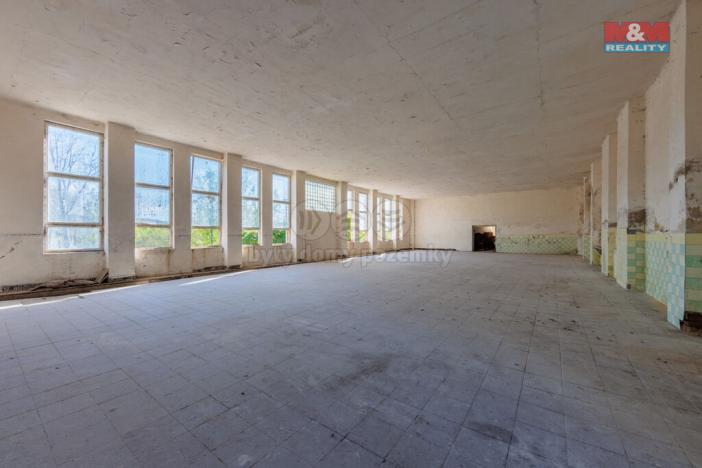 Pronájem obchodního prostoru, Březová, 558 m2