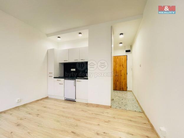 Pronájem bytu 1+kk, Ostrava - Moravská Ostrava, U Parku, 26 m2